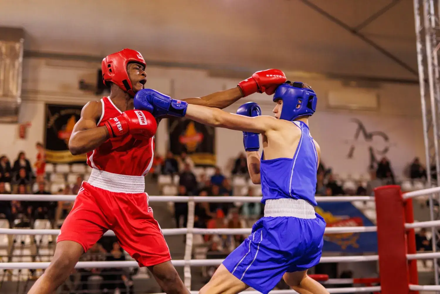 Saldus international boxing cup - Image 2