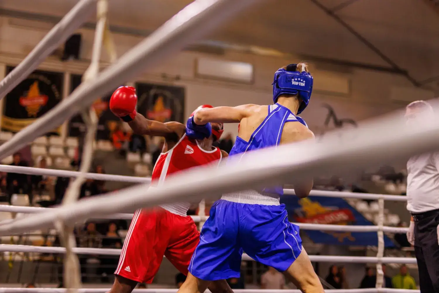 Saldus international boxing cup - Image 3