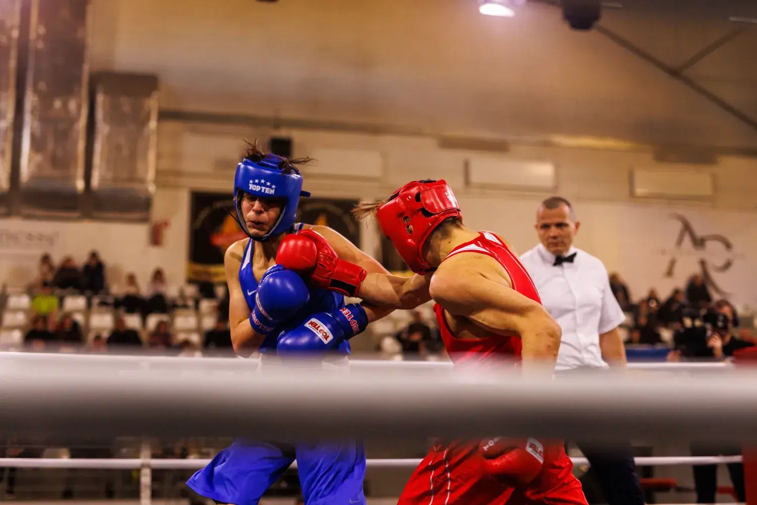 Saldus international boxing cup - Image 8